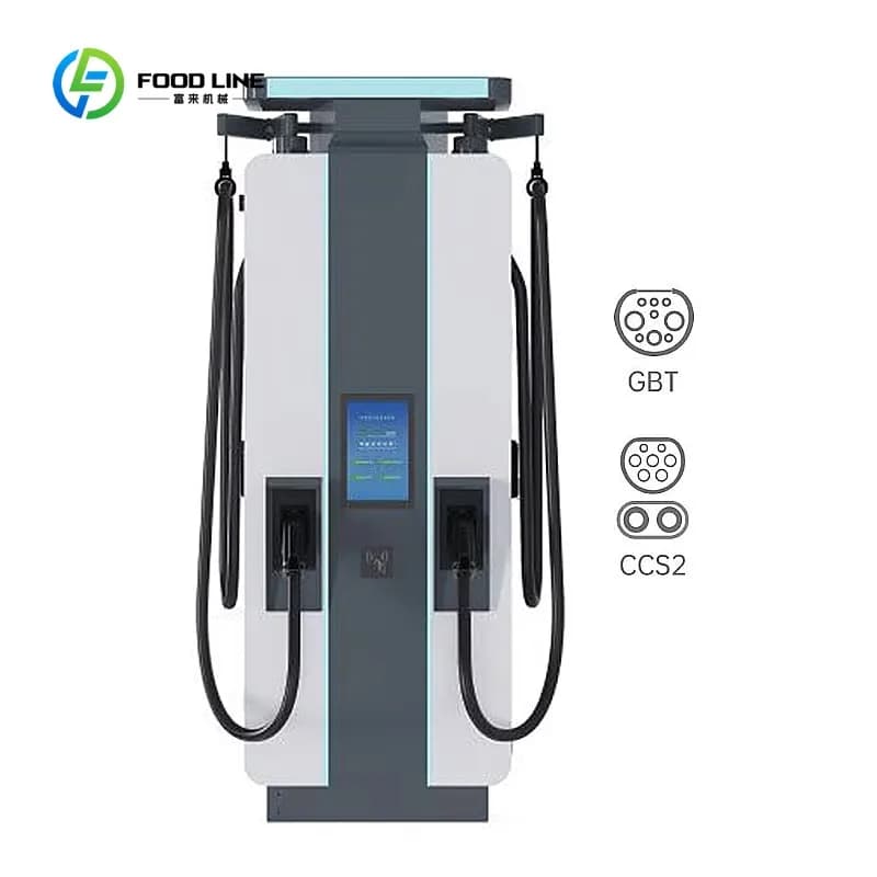 Station de recharge rapide DC personnalisée pour véhicules électriques 40 kW-80 kW GBT CCS2, borne d
